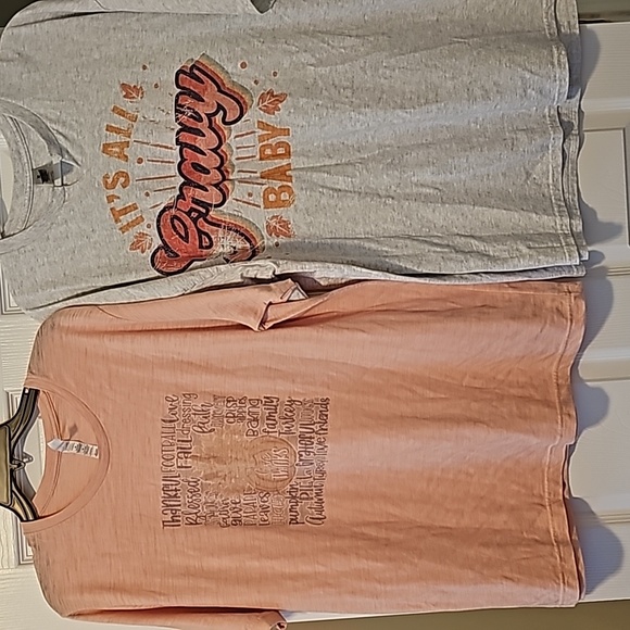 2 fall themed tees, Bella Canvas XL and Gildan 2XL, - Picture 10 of 15